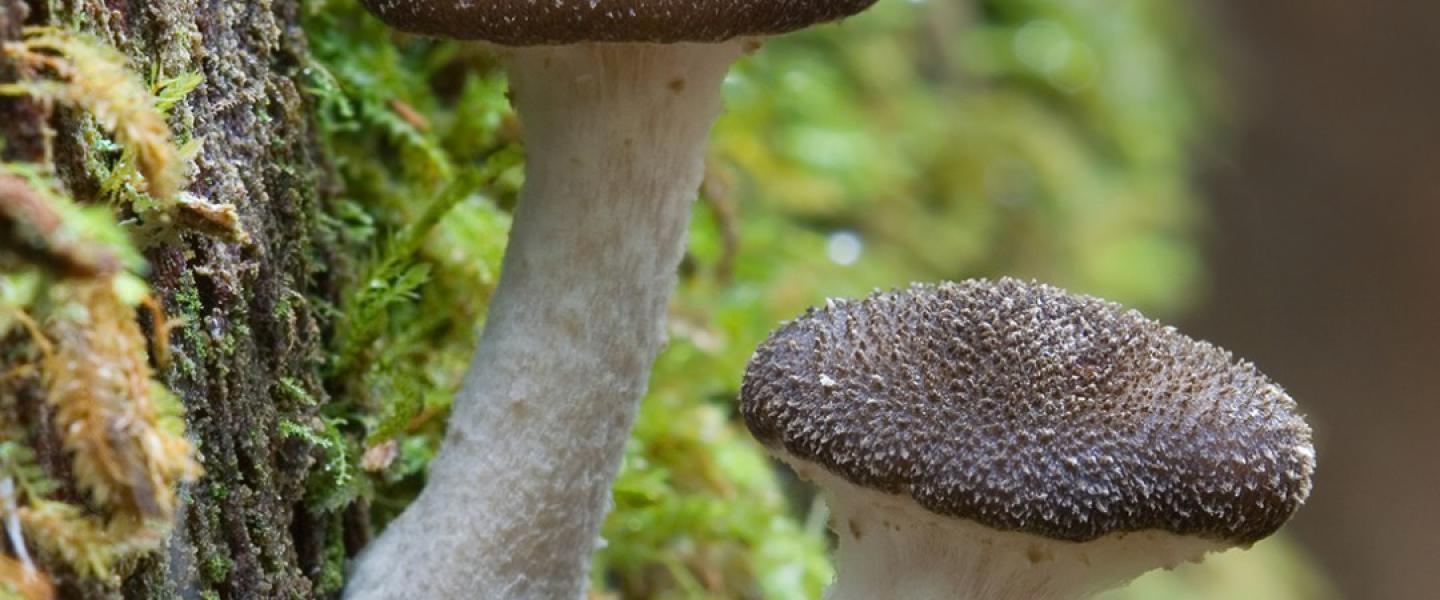 Portfolio Eintrag 3: Headerbild 2